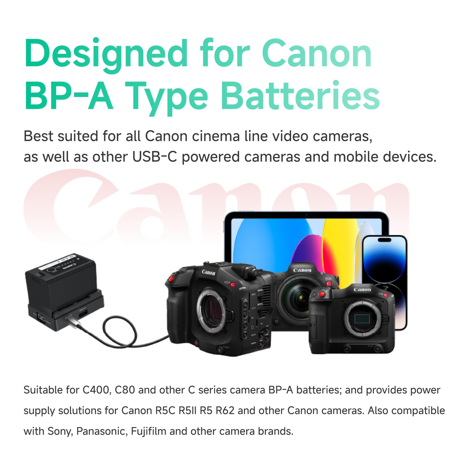 accsoon-toprig-bc08-bp-a-akku-adapterplatte-mit-d-tap-usb-c-usb-a image 2